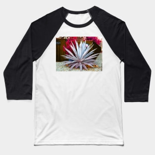 The Agave Baseball T-Shirt